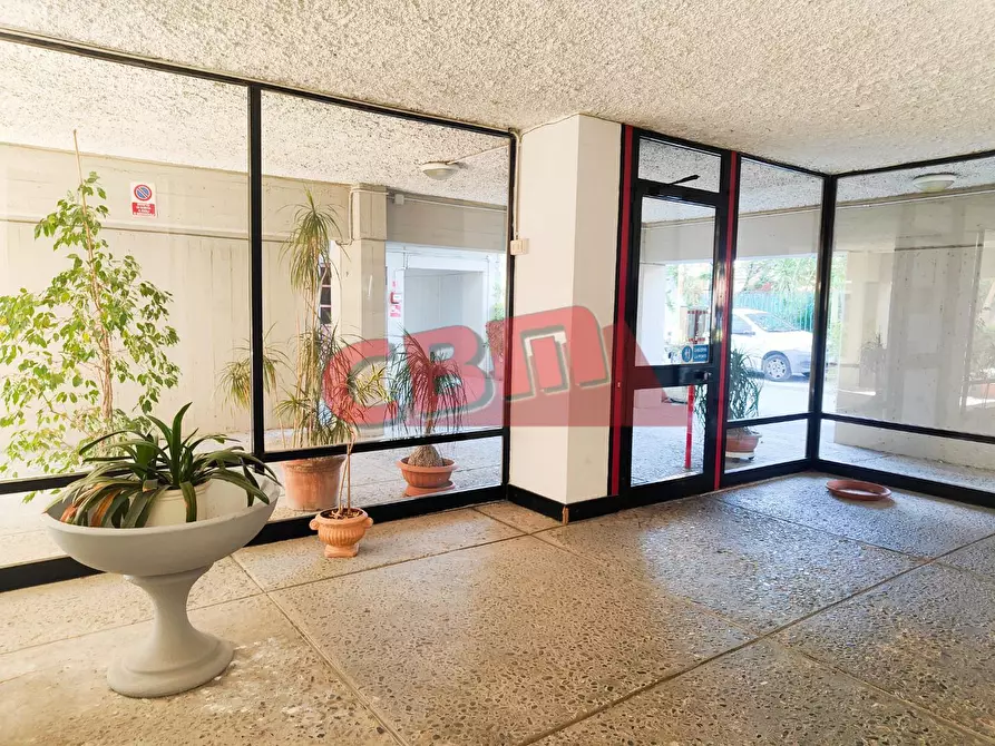 Immagine 44 di Appartamento in vendita  a Livorno