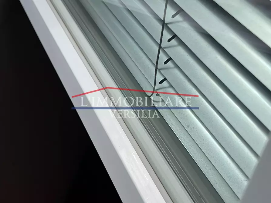 Immagine 35 di Appartamento in vendita  a Montignoso