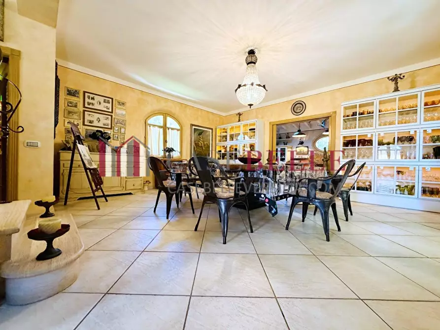 Immagine 9 di Villa in affitto  a Pietrasanta