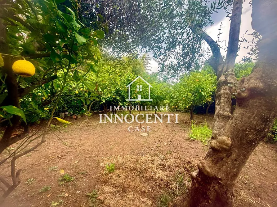 Immagine 5 di Casa indipendente in vendita  a Massa