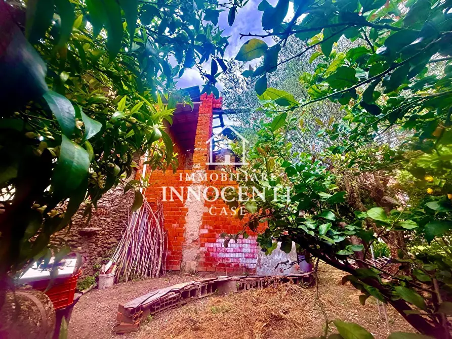 Immagine 2 di Casa indipendente in vendita  a Massa