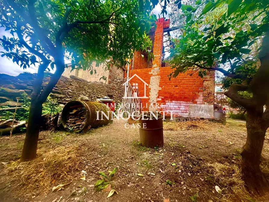 Immagine 3 di Casa indipendente in vendita  a Massa