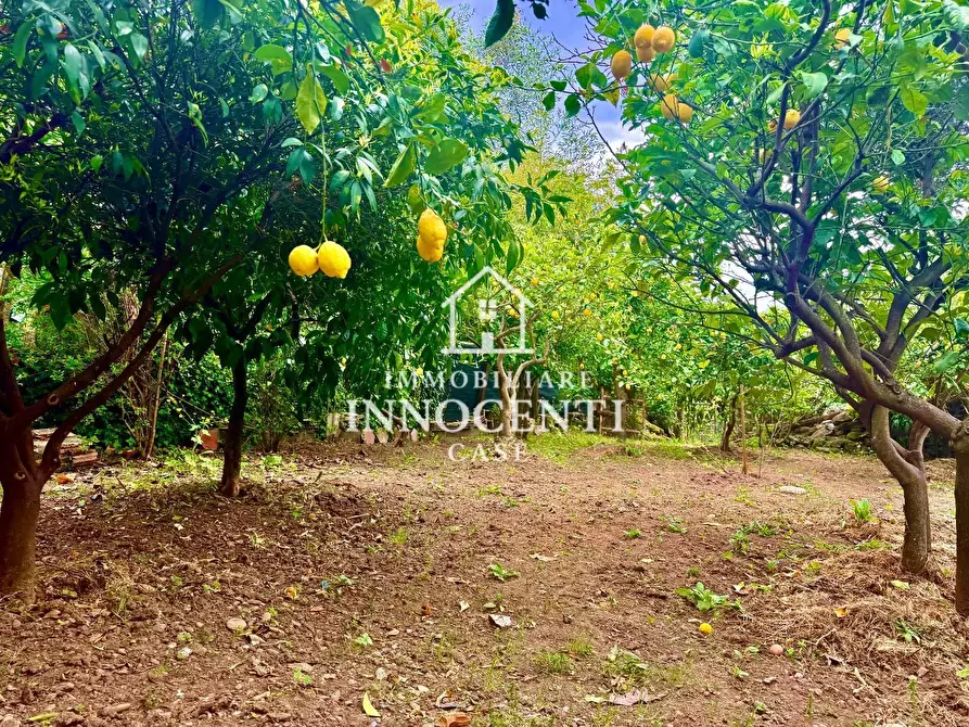 Immagine 6 di Casa indipendente in vendita  a Massa