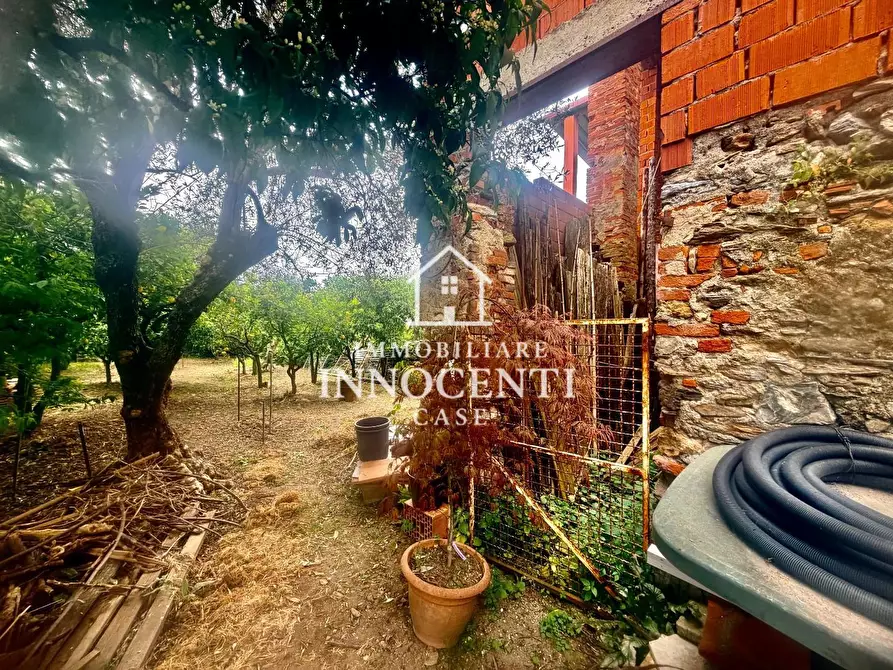 Immagine 4 di Casa indipendente in vendita  a Massa