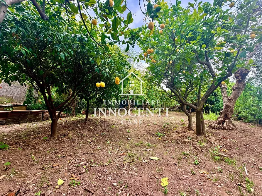 Immagine 7 di Casa indipendente in vendita  a Massa