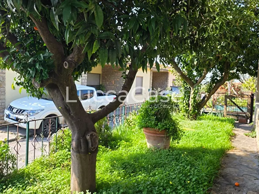 Immagine 3 di Casa indipendente in vendita  a Massarosa