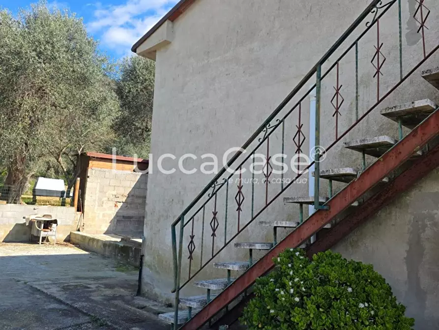 Immagine 19 di Casa indipendente in vendita  a Massarosa