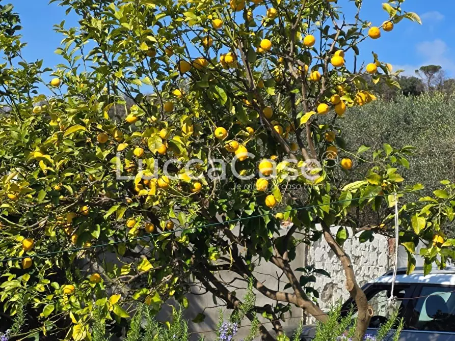 Immagine 6 di Casa indipendente in vendita  a Massarosa