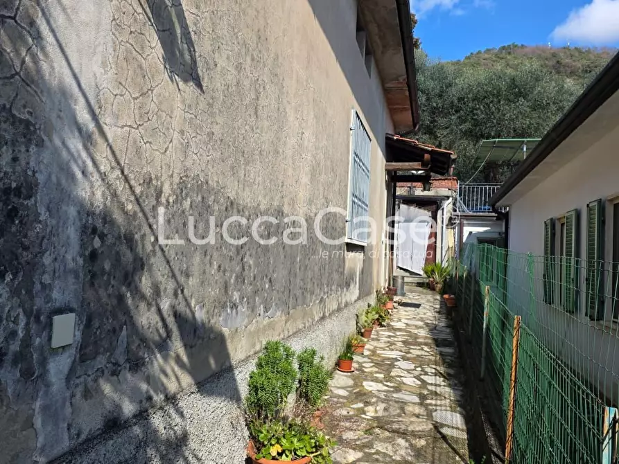 Immagine 9 di Casa indipendente in vendita  a Massarosa