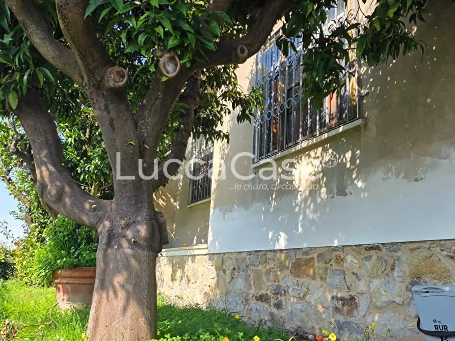 Immagine 4 di Casa indipendente in vendita  a Massarosa