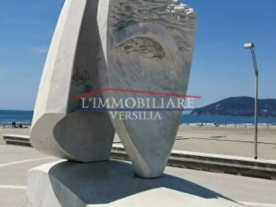 Immagine 24 di Capannone industriale in vendita  a Massa