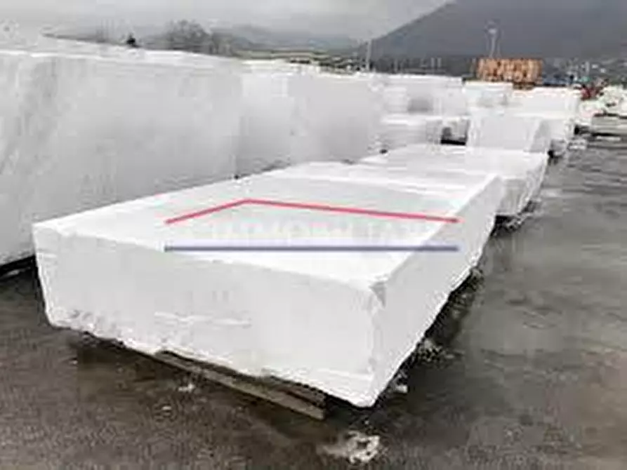 Immagine 1 di Capannone industriale in vendita  a Massa