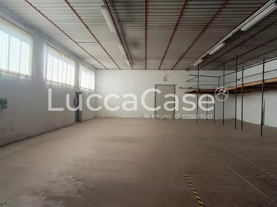 Immagine 14 di Attività artigianale in affitto  a Porcari