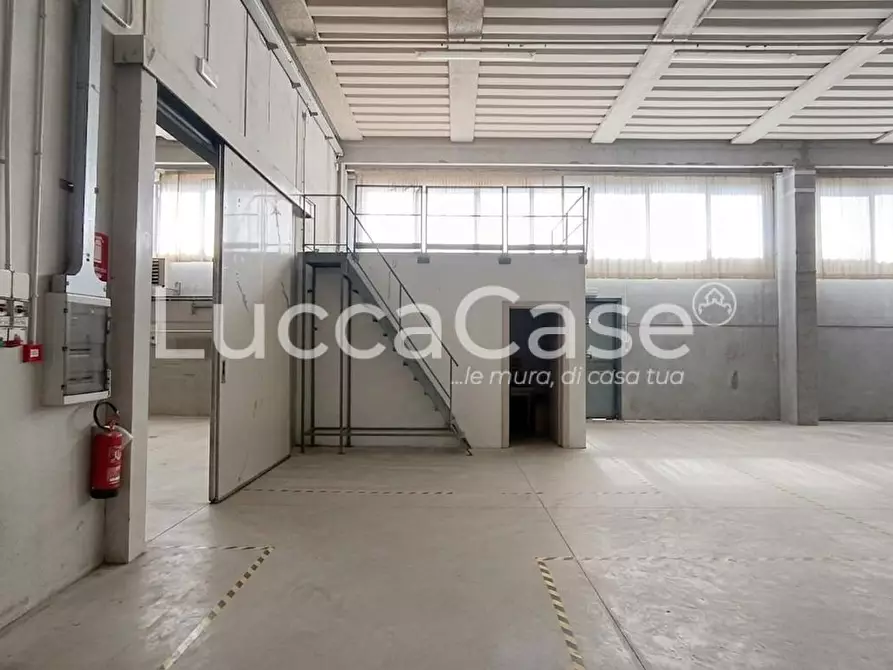 Immagine 5 di Attività artigianale in affitto  a Porcari