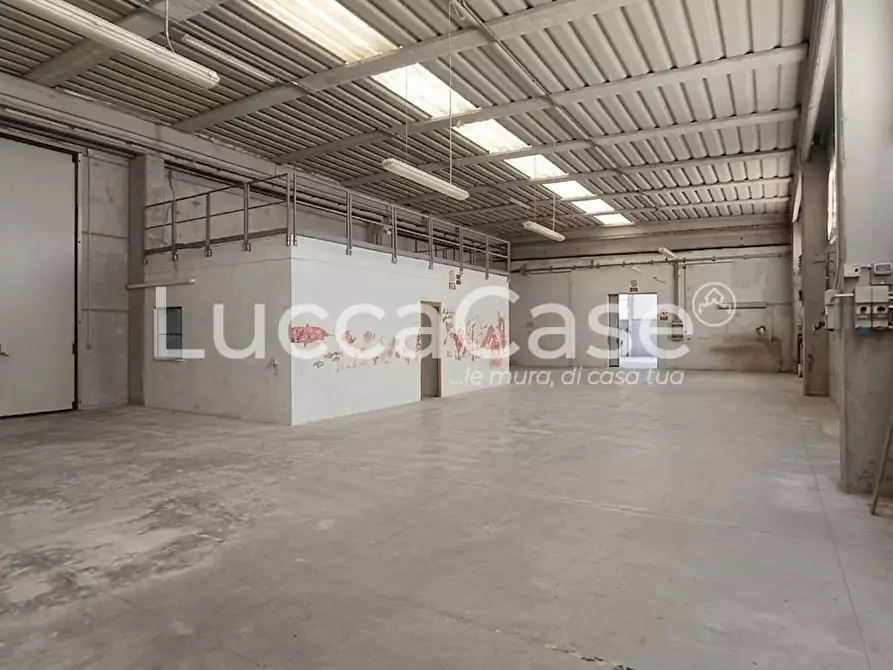 Immagine 21 di Attività artigianale in affitto  a Porcari