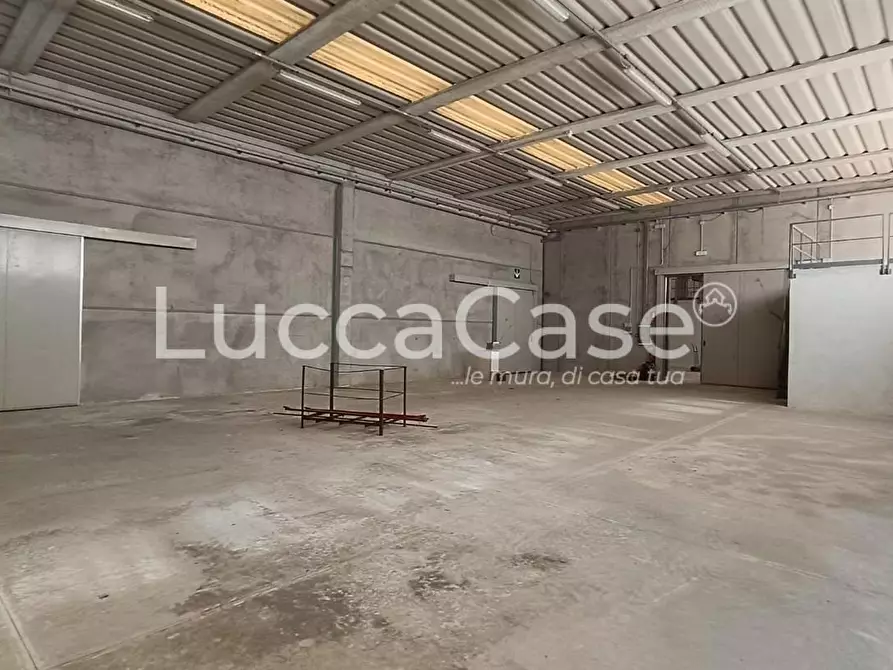 Immagine 19 di Attività artigianale in affitto  a Porcari