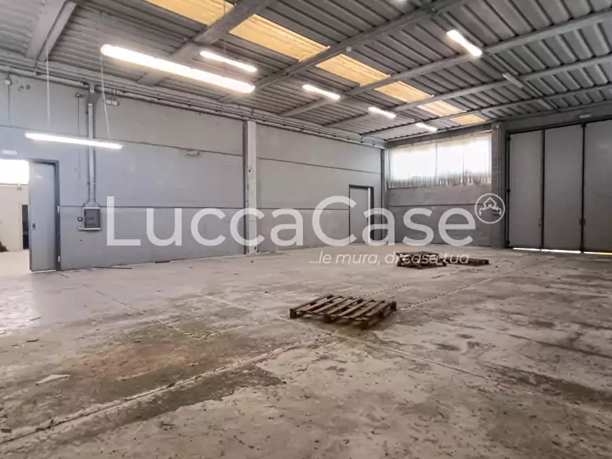 Immagine 17 di Attività artigianale in affitto  a Porcari