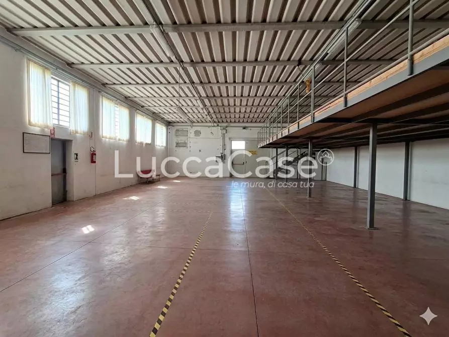 Immagine 5 di Attività artigianale in vendita  a Porcari