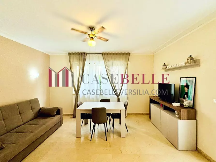 Immagine 4 di Appartamento in vendita  a Camaiore