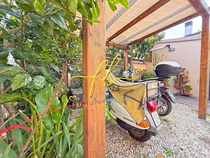 Immagine 23 di Appartamento in vendita  a Cecina