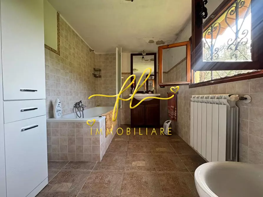 Immagine 12 di Terratetto in vendita  a Crespina Lorenzana