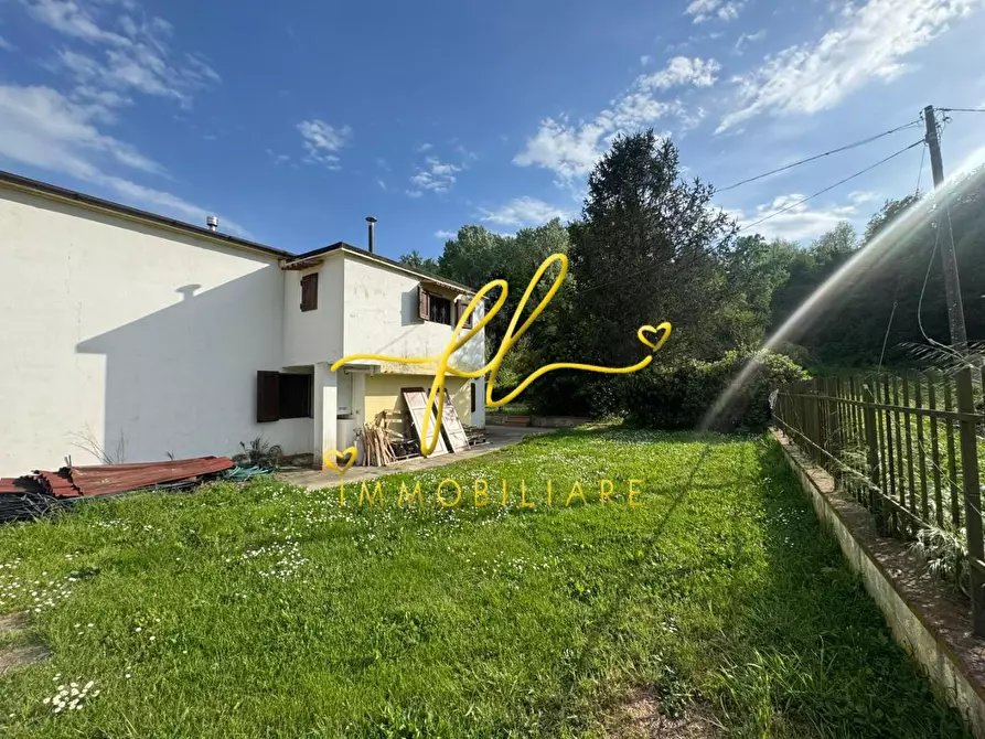 Immagine 17 di Terratetto in vendita  a Crespina Lorenzana