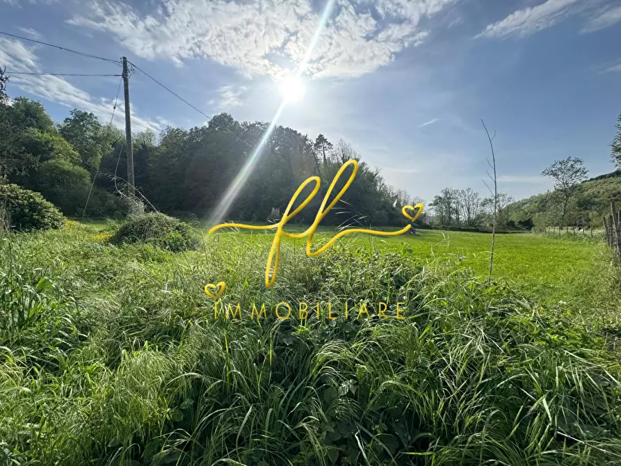 Immagine 22 di Terratetto in vendita  a Crespina Lorenzana