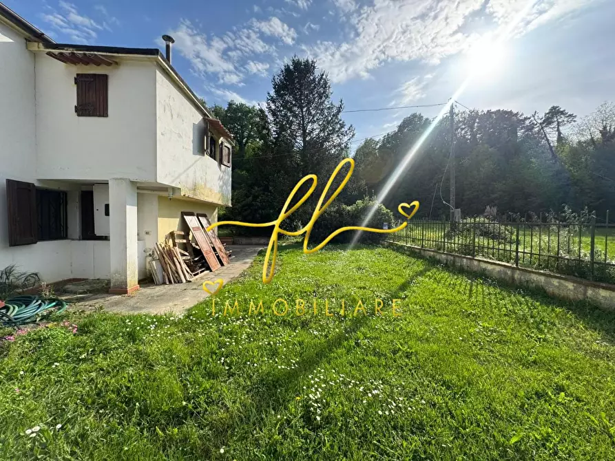 Immagine 18 di Terratetto in vendita  a Crespina Lorenzana