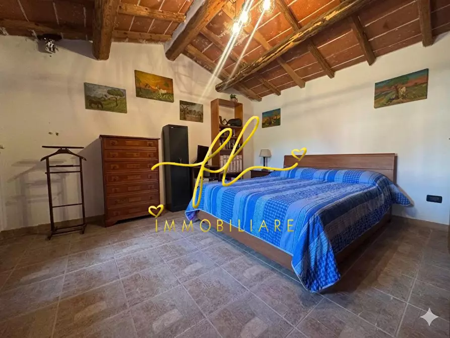 Immagine 5 di Terratetto in vendita  a Crespina Lorenzana