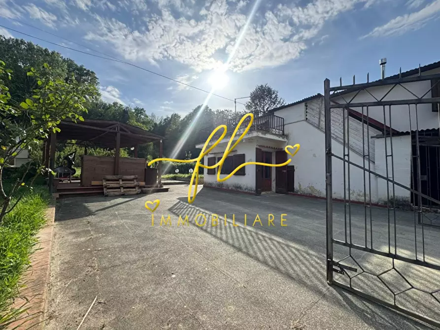 Immagine 21 di Terratetto in vendita  a Crespina Lorenzana