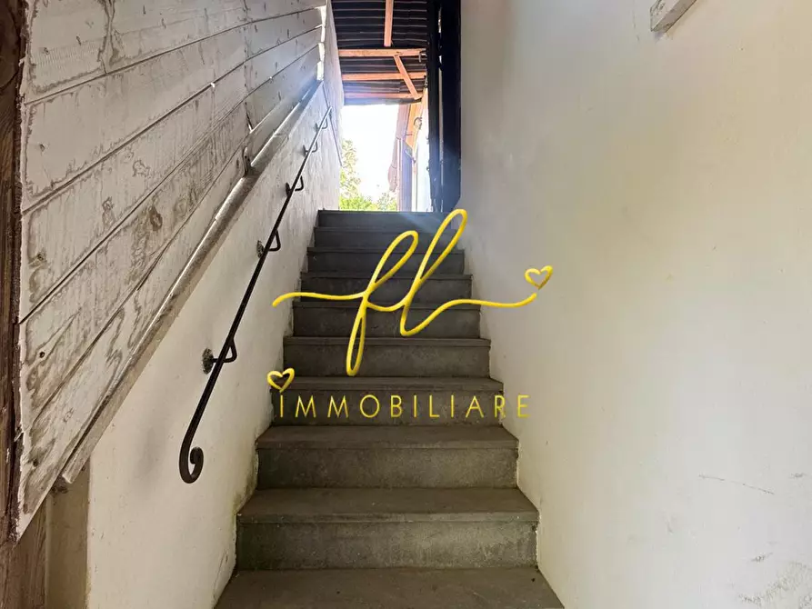 Immagine 15 di Terratetto in vendita  a Crespina Lorenzana