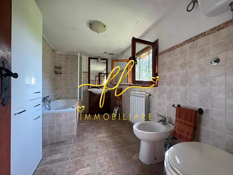 Immagine 11 di Terratetto in vendita  a Crespina Lorenzana