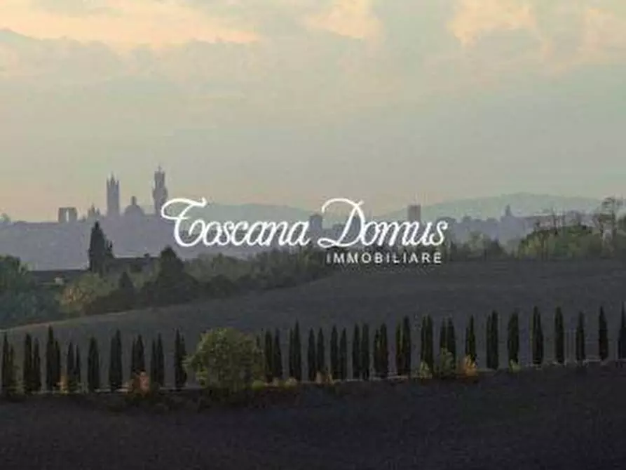 Immagine 4 di Terratetto in vendita  a Asciano