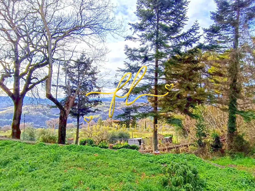 Immagine 15 di Appartamento in vendita  a Pomarance