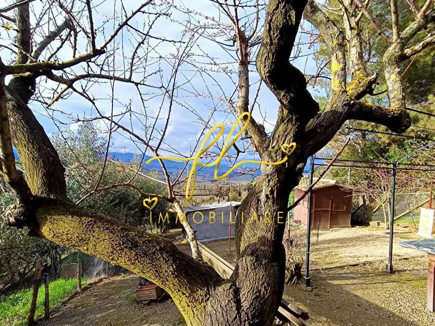 Immagine 14 di Appartamento in vendita  a Pomarance