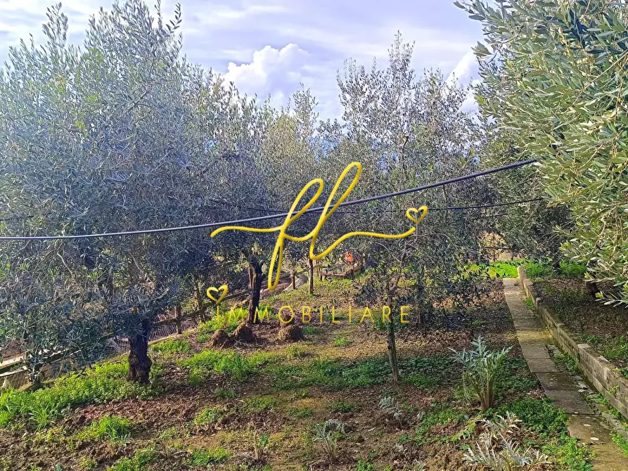 Immagine 17 di Appartamento in vendita  a Pomarance