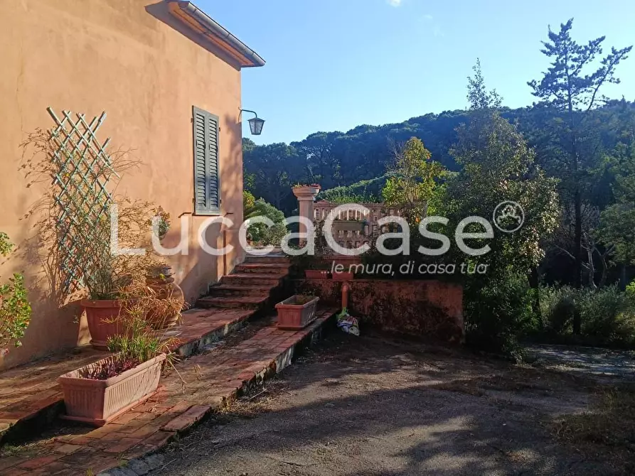 Immagine 24 di Villa in vendita  a Rosignano Marittimo