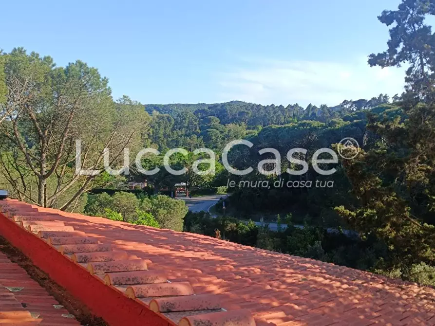 Immagine 16 di Villa in vendita  a Rosignano Marittimo