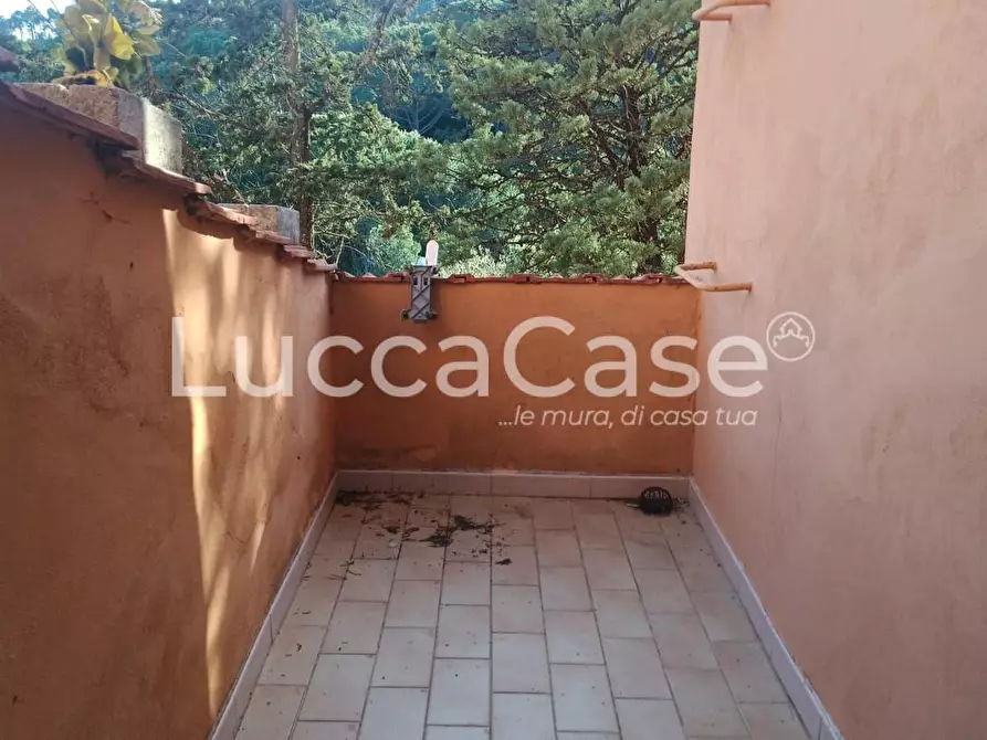 Immagine 17 di Villa in vendita  a Rosignano Marittimo