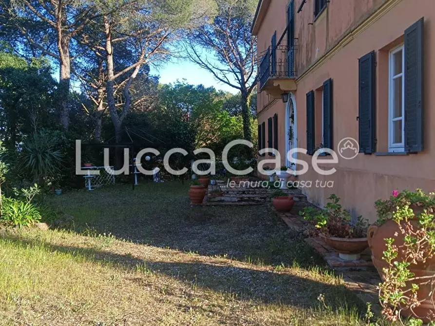 Immagine 23 di Villa in vendita  a Rosignano Marittimo