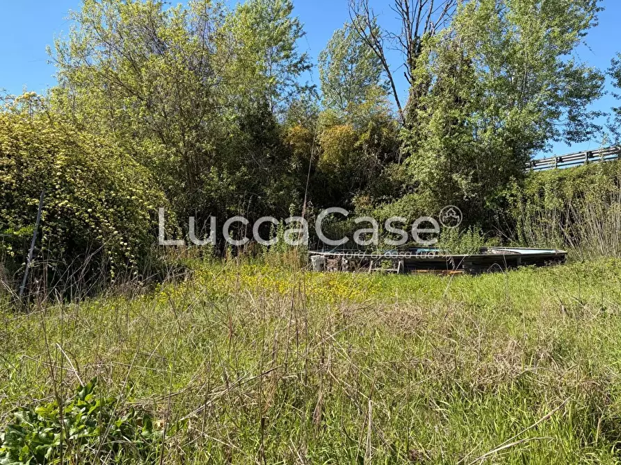 Immagine 49 di Villa in vendita  a Capannori