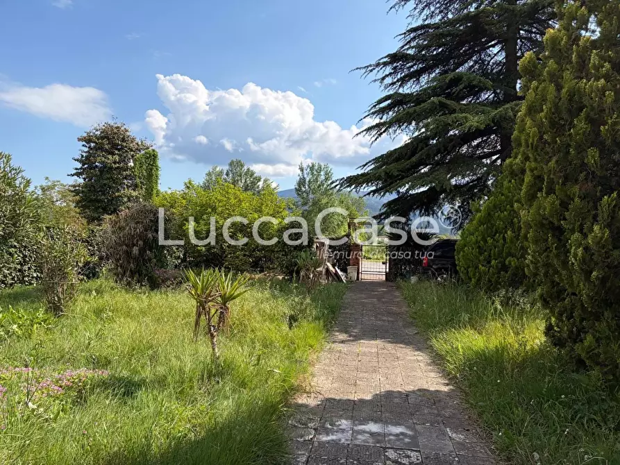 Immagine 11 di Villa in vendita  a Capannori