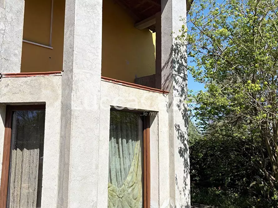 Immagine 48 di Villa in vendita  a Capannori