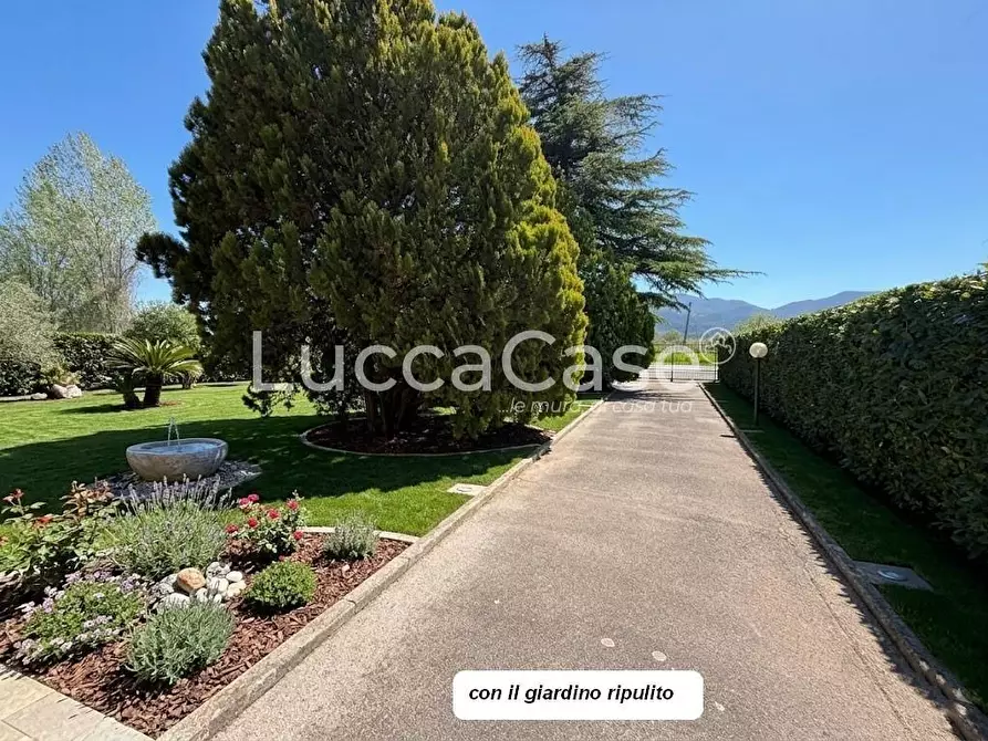 Immagine 14 di Villa in vendita  a Capannori