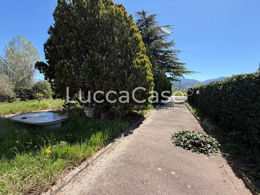 Immagine 13 di Villa in vendita  a Capannori