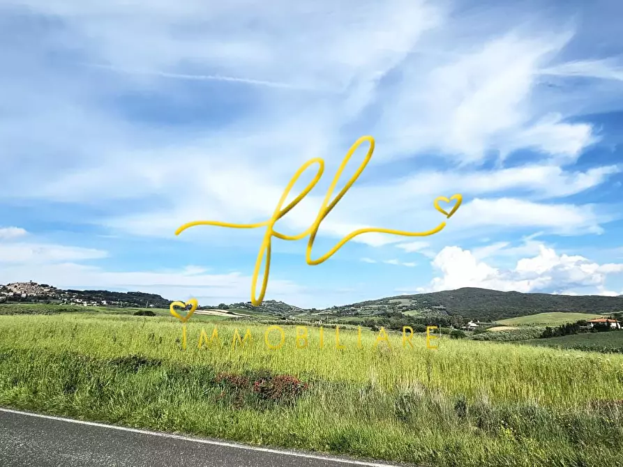 Immagine 1 di Terreno agricolo in vendita  a Bibbona