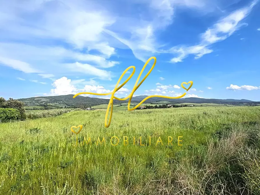 Immagine 3 di Terreno agricolo in vendita  a Bibbona