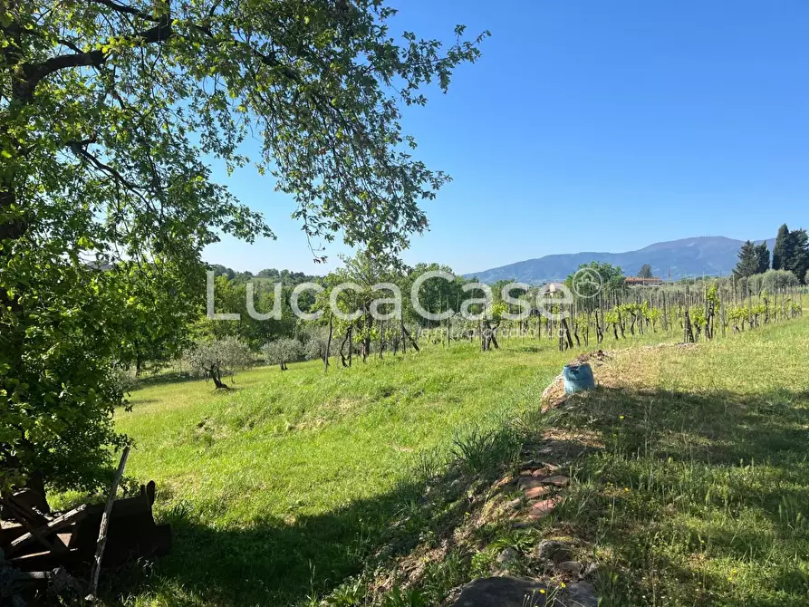 Immagine 11 di Rustico / casale in vendita  a Montecarlo