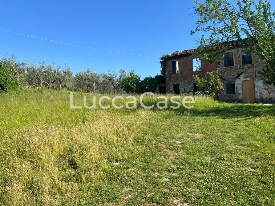 Immagine 5 di Rustico / casale in vendita  a Montecarlo
