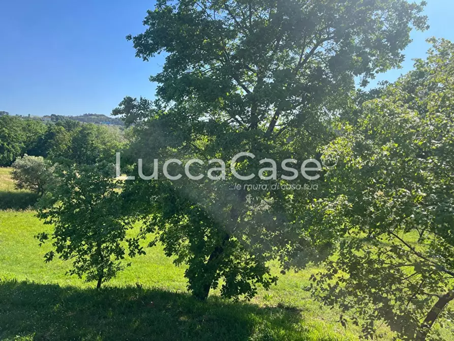 Immagine 17 di Rustico / casale in vendita  a Montecarlo